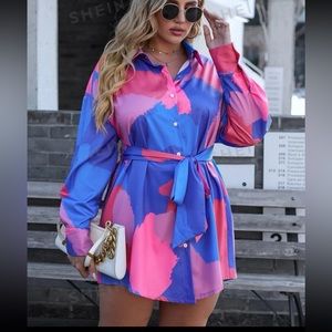SHEIN Privé Plus Colorblock Button Front Belted Shirt Dress